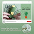 Lily's Lyric Crochet & Craft Kit | Cactus LOVE| Step-by-Step Video Tutorial for Adults Teenagers | Craft Gift Idea DIY Home Decoration......