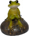Top Collection 2.725-Inch Miniature Fairy Garden and Terrarium Cute Frog on Stone, Mini...
