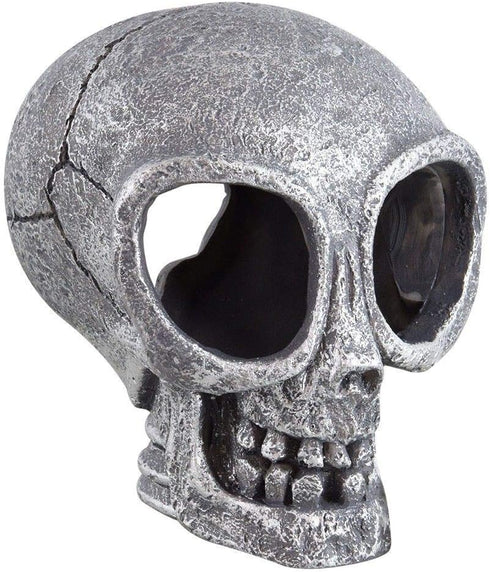Underwater Treasures Alien Skull...