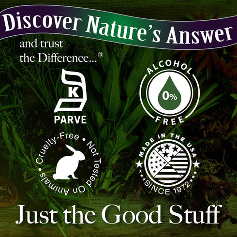 Nature's Answer Alcohol-Free Cornsilk 2000mg 1oz Extract | Urinary Tract Support | Natural Diuretic | Gluten-Free, Non-GMO, Vegan | Single Count...