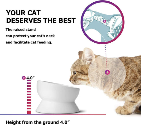 Y YHY Elevated Cat Food Bowl, Raised Pet Food and Water Bowl for Cat and Small Dog, Tilted Ceramic Water Bowl No Spill,15oz, Dishwasher Safe...