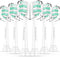 Toothbrush Replacement Heads for Philips Sonicare C2 Plaque Control ProtectiveClean 4100 5100 6100 Electric Toothbrush Heads, 6-Pack...