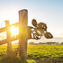 Peeping Cow Metal Art Farm Garden Decor Garden Fence Decoration Outdoor Decoration for Farmhouse,Yard,Lawn...