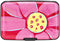 ELFISH RFID Blocking Credit Cards Holder Aluminum Wallet Metal ID Case for Men Women (Big pink flower)...