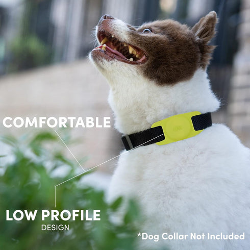 Case-Mate Airtag Dog Collar Holder - Water Resistant Airtag Holder Dog Tag - Lightweight, Protective Airtag Case for Dog Collar - Pet Collar Airta...