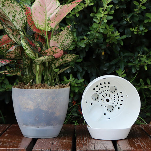 Plant Pots 6 Inch Set of 3, Self Watering Pots Flower Pots Indoor Outdoor, Plastic Planters with Drainage Hole Saucer Reservoir (Clear)...