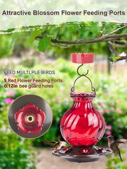 Hummingbird Feeder, Auslar 26 Ounces Glass Hummingbird Feeders for Outdoors Hanging Ant and Bee Proof, Ant Moat & 5 Flower Feeding Ports, Rustproo...