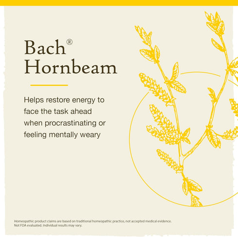 Bach Original Flower Remedies, Hornbeam for Procrastination (Non-Alcohol Formula), Natural Homeopathic Flower Essence, Holistic Wellness and Stres...