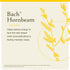 Bach Original Flower Remedies, Hornbeam for Procrastination (Non-Alcohol Formula), Natural Homeopathic Flower Essence, Holistic Wellness and Stres...