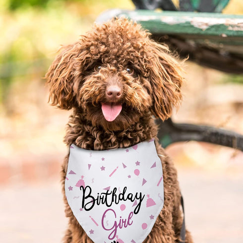 Dog Birthday Bandana Dog Birthday Girl Happy Birthday Dog Bandana for Girls Pet Accessories for Dog Lovers Birthday Bandana for Large Dog Girl Dog...