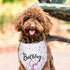 Dog Birthday Bandana Dog Birthday Girl Happy Birthday Dog Bandana for Girls Pet Accessories for Dog Lovers Birthday Bandana for Large Dog Girl Dog...