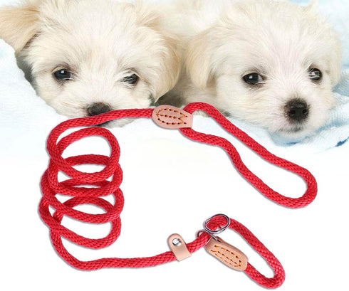 POPETPOP Nylon Dog Slip Training Leash Collar Rope for Pets Training (Red)...