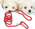 POPETPOP Nylon Dog Slip Training Leash Collar Rope for Pets Training (Red)...