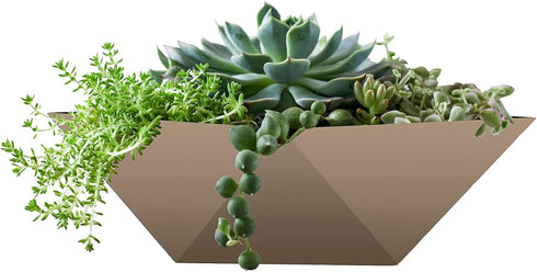 The HC Companies 6 Inch Deco Faceted Plastic Succulent Bowl - Decorative Indoor Planter with Drainage Hole, Artisan Taupe...