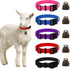 5 Pack Goat Collar with Bell, Adjustable Nylon Collar Set, Anti-Lost Loud Grazing Copper Bells for Small Farm Animal Cow Sheep Accessories...