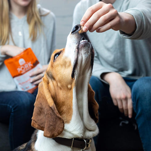 Open Farm Dehydrated Beef Grain-Free Dog Treats, 100% Grass-Fed Beef Recipe with Natural Simple Ingredients and No Artificial Flavors or Preservat...