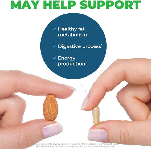 Seeking Health Ox Bile 125 - Digestive Enzyme & Gallbladder Support Supplement - Vegetarian Capsule with Digestive Enzymes - 120 Capsules...