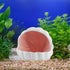 Aquarium Decorations Conch Shell-Shaped Ceramic Fish House Betta Fish Tank Accessory Decor Small Fish Hideout Cave for Fish Playing or Hiding (Pin...