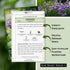Sow Right Seeds - Common Chives Seed for Planting - Non-GMO Heirloom Packet with Instructions to Plant and Grow Kitchen Herb Garden Indoor or Outd...