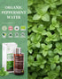VTS Peppermint Floral Water 8 Fl Oz, Natural Peppermint Hydrosol Air Freshener for Bathroom, Kitchen, Refreshing Home Fragrance Toilet Spray...