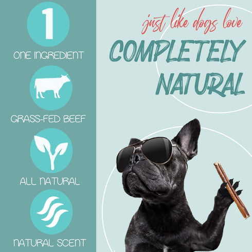 6" Natural Bully Stick Dog Treats - Healthful Dog Chews (Medium 15 Count)...