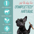 6" Natural Bully Stick Dog Treats - Healthful Dog Chews (Medium 15 Count)...