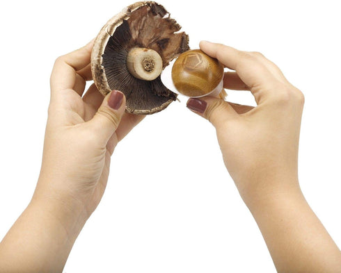 Full Circle FunGuy, 2 in 1 Mushroom Cleaning Brush, White...