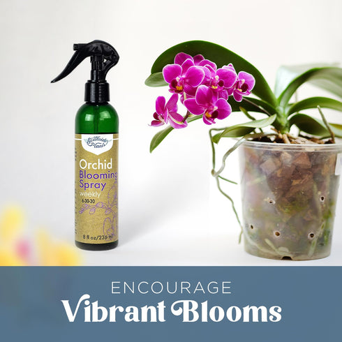 Orchid Fertilizing Spray - Perfect Nutrition and Humidity The Bring Dormant Orchids Back to Life - 8 oz...