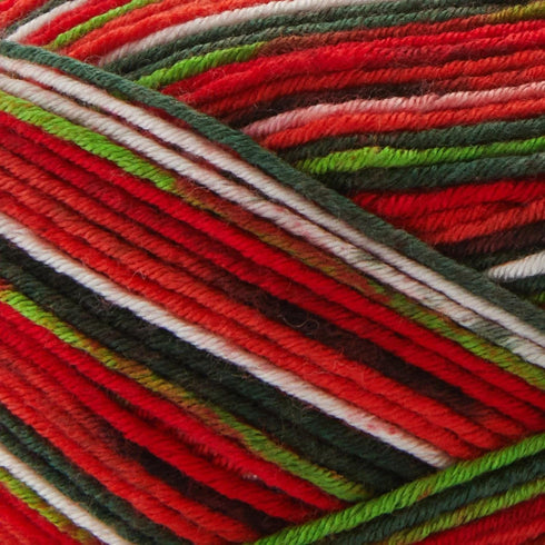 Premier Yarns Fruits Yarn, Acrylic Yarn for Crocheting and Knitting, 235 yds, Watermelon...