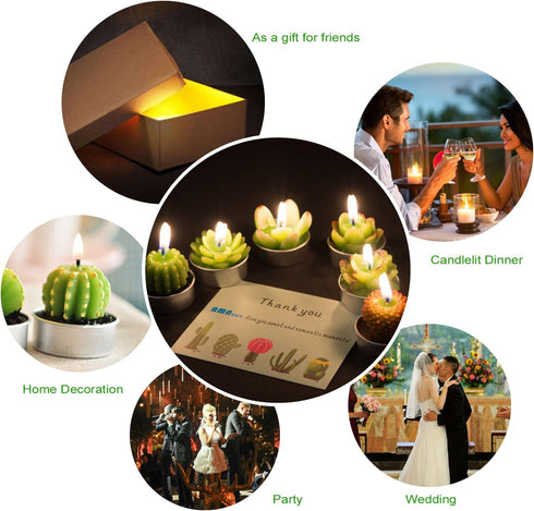 Handmade Delicate Succulent Cactus Candles for Birthday Party Wedding Spa Home Decoration(12 Packs-2)...