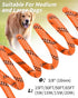 Joytale Long Leash for Dogs, Training Leash with Removable Padded Handle, Double Hook, 15FT/30FT/50FT/65FT Dog Obedience Recall Training Agility L...
