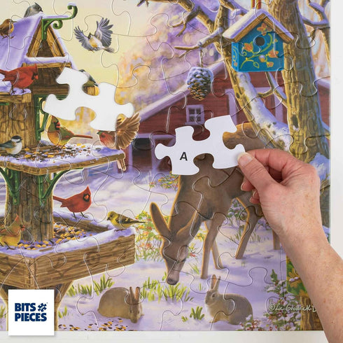 Bits and Pieces - 50 Piece Jigsaw Puzzle for Seniors - 15" x 19" - Birds on The Porch Steps - 50 pc Large Lettered Pieces Colorful Scenic Jigsaw...