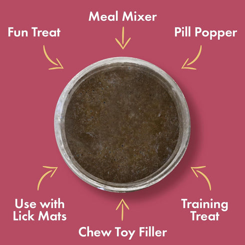 Visionary Pet Foods Tasty Spread for Dogs - Salmon Recipe - The Healthy Dog Treat - Alternative to Dog Peanut Butter - Use on a Dog Food Mat - Dog...