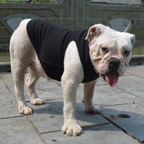 Lovelonglong 2019 Summer Pet Clothing, Dog Clothes Blank T-Shirts Ribbed Tanks Top Thread Vests for Bulldog Pit Bull Dogs 100% Cotton Black XXL...