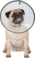 Elizabethan Collars — Durable Plastic Collars that Keep Pets from Licking Wounded Areas - Small, Clear...