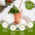 Sol Living Mint Julep Cups Set of 4, 12 oz Stainless Steel Lining Copper Cups Handcrafted Kentucky Derby Cups Barware Set for Cocktails Mixed Drin...