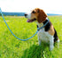 TagME Slip Leads for Dogs, 6 FT Heavy Duty Dog Leash with Padded Handle, Strong Rope No Pull Pet Training Leash for Medium Dogs,Blue...