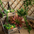JUSTOYOU Large Artificial Succulents Aloe Plants Real Touch Fake Flowers Unpotted for Home Wedding Festival Arrangement (1, Green-Red)...