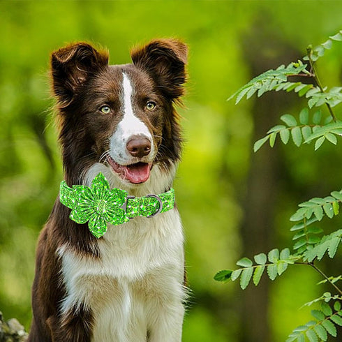 Lionheart glory Green Dog Collar with Flower Dog Collar for Large Dogs, Cucumbers Print Collars Spring Dog Collar Flower Pet Collar Bows Heavy Dut...