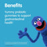 Webber Naturals Sesame Street Healthy Tummy Probiotic, 1 Billion Active Cells, 50 Gummies, Mixed Berry Flavor, Vegan...