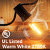 G40 LED Replacement Bulbs 25-Pack, Shatterproof Outdoor String Light Bulb for Patio, 120V 1W E12 Small Round Light Bulbs for Indoor Outdoor Decor,...