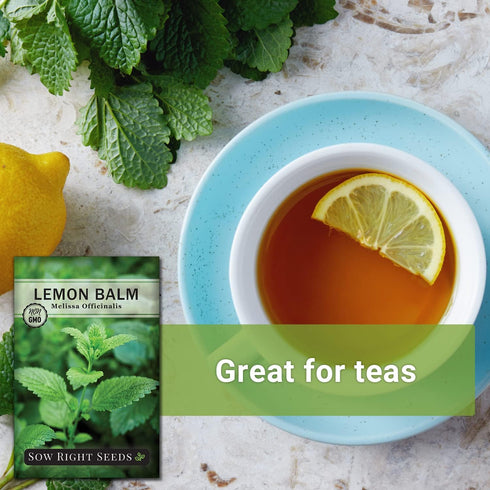 Sow Right Seeds - Lemon Balm Seeds for Planting - Non-GMO Heirloom Packet with Instructions - Easy to Grow Herb Garden - Aromatic Herb and Great f...