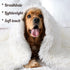 BENRON Medium Dog Blanket for Couch Bed Crate, Cozy Reversible Fleece Dog Blanket, Washable Fluffy Throw Blankets 30x40 Inches Cream White...
