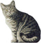 Manual Cat Shaped Pillow, 11 X 16-Inch...