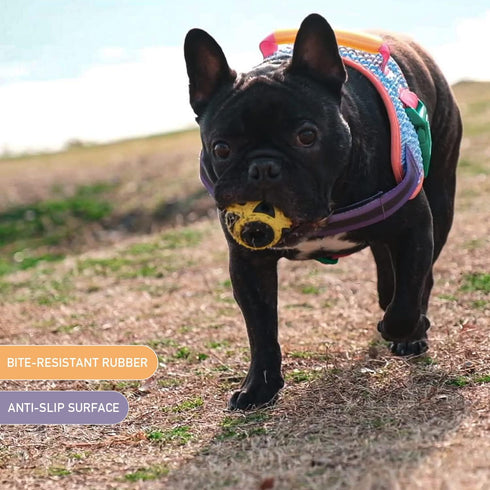 Dog Ball Toy, Jingle Bell Inside for Gift, Rubber Squeaky Toy, Interactive Smart Ball with Holes, Ideal for Puppies, Small, Medium and Blind Dogs,...