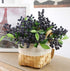 Red Artificial Berry Stems Fruit Fake Silk Berries for Holly Christmas Festival Holiday and Home Decor, Pack of 6 (Blue)...