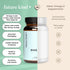 Future Kind Vegan Omega 3 Supplement (2 Month Supply) - Glass Bottle & Carrageenan-Free Algae Omega 3 Supplements for Joint, & Mood Support - DHA ...