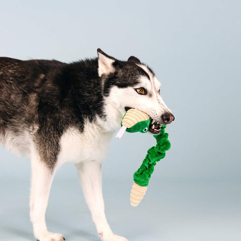 Fringe Studio Plush Dog Toy, Hisses & Kisses, Pet Shop Collection (314206)...