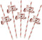 Boao 48 Pcs Paper Team Bride Straw Rose Gold Hen Party Paper Drinking Straws Bridal Shower Hen Party Accessories for Wedding Bachelorette Favors...