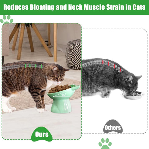 3PCS Elevated Cat Bowls, 15° Tilted Raised Cat Food Bowl Anti-Vomiting, Raised Cat Food and Water Bowl Set for Protecting Pet's Spine, Shallow Cat...